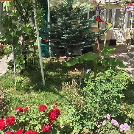 Casa Litoral بيت ضيافة كونستانتا