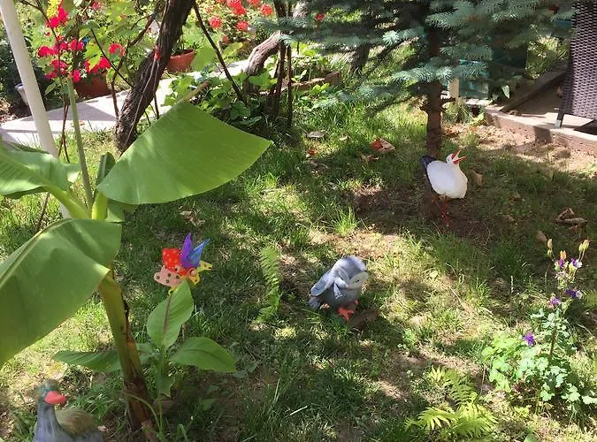 ゲストハウス Casa Litoral *