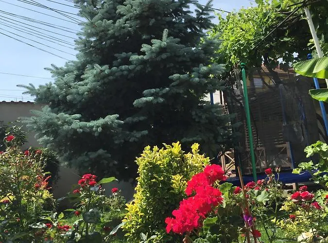 Casa Litoral Vendégház *